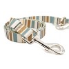 Pendleton Camp Stripe Leash Misty Ridge - 2 of 4