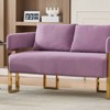 Okak Modern Teddy Fleece Upholstered Back Armchair with Gold Metal Frame,Leisure Reception Chair for Living Rooms,Relaxation Areas - 2 of 4