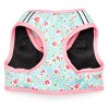 The Worthy Dog Sidekick Harness Vest - 2 of 3