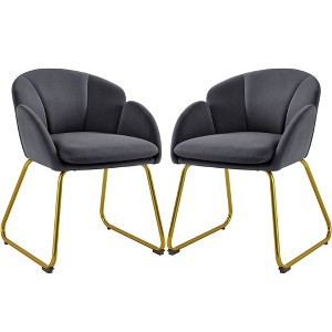Yaheetech Set of 2 Flower Shape Velvet Armchair for Living Room, Bedroom, Dark Gray - 1 of 4