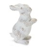Melrose White Washed Rabbit Figurine (Set of 2) - 3 of 4