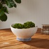 Plum & Post Sea Breeze Decorative Bowl - 2 of 4
