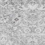 gray, cream, charcoal