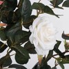Vickerman 45" Artificial Rose Plant in Pot - 2 of 4