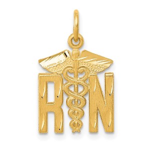 Black Bow Jewelry 14k Yellow Gold Satin and Diamond Cut Nurse Charm - 1 of 4