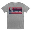NFL New England Patriots Toddler Boys' Gray 2pk T-Shirt - 2 of 3
