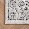 Vintage Minta Gray Rug - nuLOOM - image 4 of 4