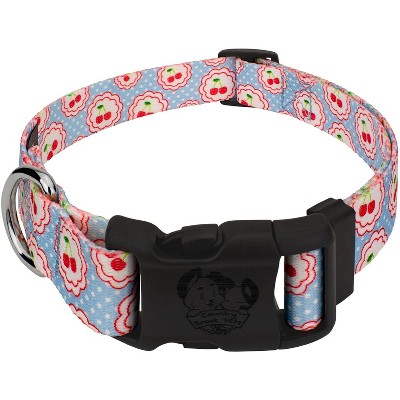 Country Brook Petz Deluxe Dog Collar - Made in The U.S.A. - Spring Collection