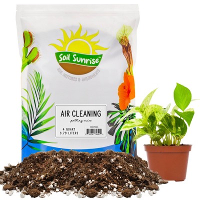 Soil Sunrise Air Cleaning Plant Potting Mix for Pothos, Parlor Palm, Peace Lily