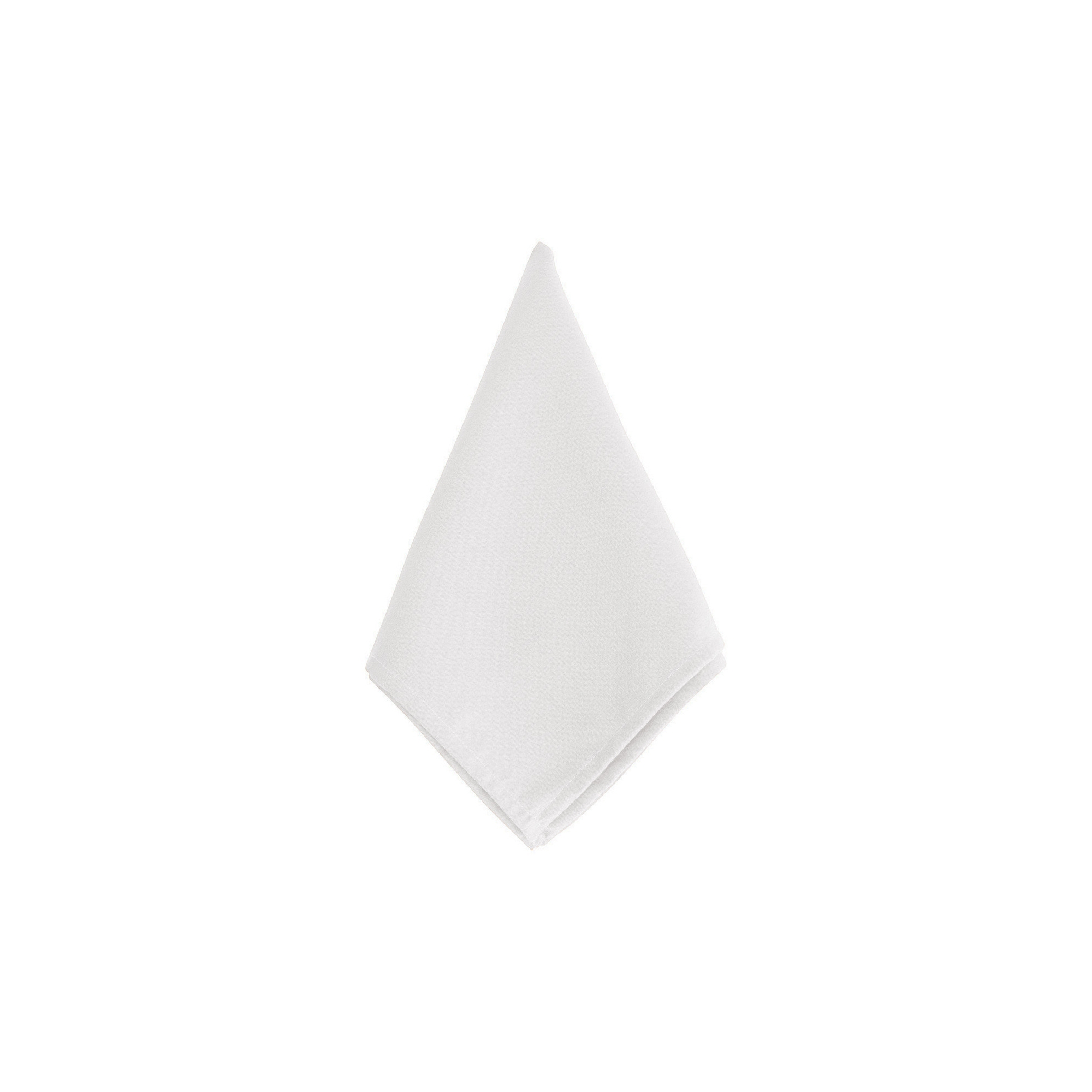 Everyday Design Napkins White (Set of 12): Saro Lifestyle Cloth Napkins, Solid Pattern, 20"x20", Machine Washable