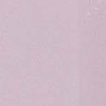 strawberry pink winter bird pattern