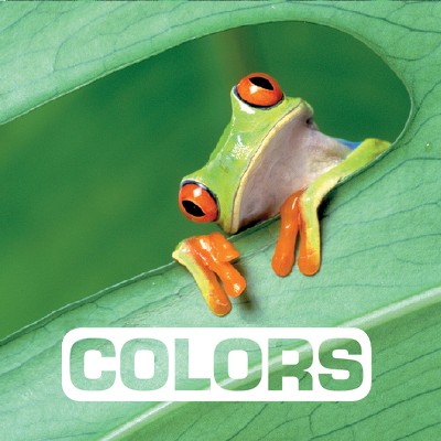 Colors - (Picture This) by Marie Vendittelli (Board Book) : Target