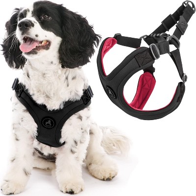 Gooby Sporty Escape Free Harness, Medium Black, Neoprene, No
