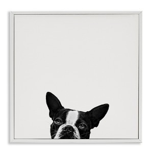 Stupell Industries Dog Peeking From Below, 24" x 24" - 1 of 4