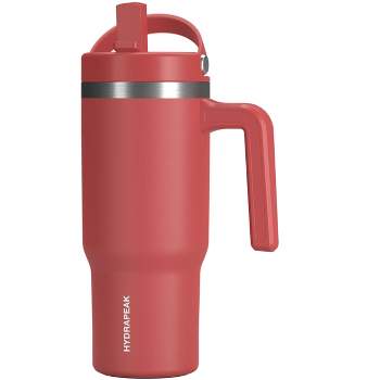 Hydrapeak Kids Voyager 18 Oz Stainless Steel Tumbler With Handle and Spill Proof Straw Lid