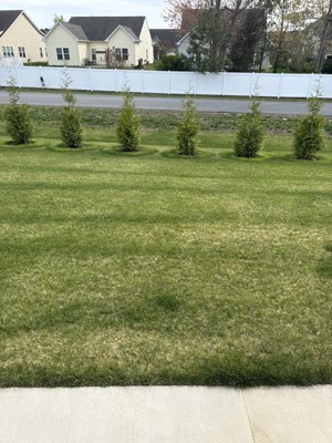 Guest review image 1 of 3, zoom in