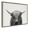 Sylvie Hey Dude Highland Cow by The Creative Bunch Studio Framed Wall Canvas Gray - Kate & Laurel All Things Decor - 2 of 4