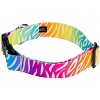 Country Brook Petz HossFit Jr Wide Deluxe Dog Collar - Animal Print Collection - 2 of 4
