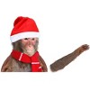 5 Star Super Deals Rear Vehicle Car Window Waving Moving Windshield Wiper Blade Tag Decal Sticker  - Christmas Monkey - 2 of 4