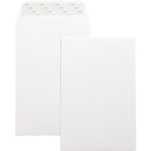 Business Source Catalog Envelopes Self Seal Plain 6"x9" 100/BX White Wove 42122 - 1 of 1
