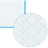 Waterproof Dog and Puppy Pet Training Pad, Housebreaking Pet Pad - 3 of 4
