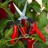 FELCO 322 Straight Long Blade, Pro Carbon Steel Snip - 4 of 4