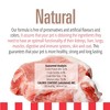 Livelong Healthy & Strong Pork & Sweet Potato Wet Dog Food, 12pk 12.5oz Cans - 4 of 4