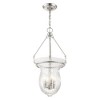 Livex Lighting Andover 4 - Light Pendant in  Polished Nickel - 4 of 4