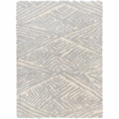 Hauteloom Ioana Gray Plush Area Rug