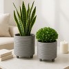 Sagebrook Home 2-Piece Set of Ceramic Planters Stylish Footed Plant Stand Set for Indoor or Outdoor - 3 of 4