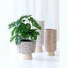 Alameda Grey Floral Planter Vase - Shiraleah - 3 of 4