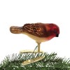 Old World Christmas 2.0 Inch Mini Songbird Happiness Joy Spring Tree Ornaments - 2 of 3