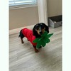 Midlee Strawberry Dog Costume - 4 of 4