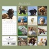 2026 Square Wall Calendar, Dogs in the Wind, 16-Month Humor Theme with 180 Reminder Stickers (12x12 In) - 4 of 4