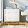 LITTLE TREE Modern Lateral File Cabinet with 2 Drawer for Home Office White/Gold - 4 of 4