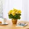 Nearly Natural 11-in Geranium Artificial Plant in Ceramic Planter UV Resistant (Indoor/Outdoor), Yellow - 4 of 4