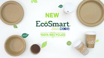 Ecosmart 100% Recycled Fiber Disposable Paper Plates, 10 in, 25 Count, Size: 10 inch, 16470