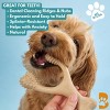 BetterBone Soft Classic Nylon Free Dog Bone Chew Toy - 4 of 4