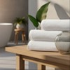 GPT Collection Ring Spun Cotton Towels By Rifz Textiles - 2 of 4