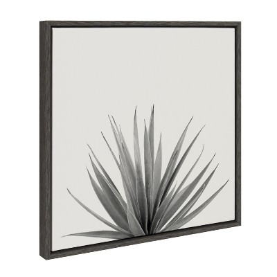 Haze Agave Succulent Gray Canvas Wall Art with Black Frame, 22x22