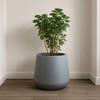 Rosemead Home & Garden, Inc. Kante Concrete Indoor Planter Pots Charcoal Gray 11.81"x11.81"x12.2" - 3 of 3