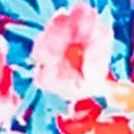 aloha flowers