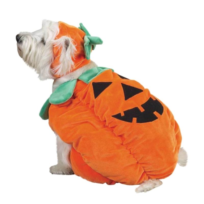 Zack & Zoey Pumpkin Pooch Dog Costume, 1 of 10