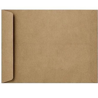 LUX 6 x 9 Open End Envelopes Grocery Bag 1644-GB-250