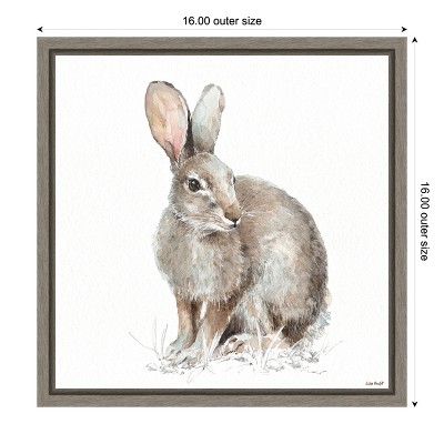 Lisa Audit Framed Canvas Print of Rabbit in Forest