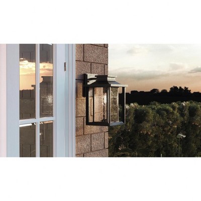 Wakefield Black Iron Outdoor Wall Lantern with Clear Seedy Glass
