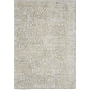 Nourison Home Desert Skies DSK05 Beige/Ivory Indoor Area Rug - 3'9 x 5'9 - 1 of 4