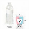 Big Dot of Happiness Baby Gender Reveal - Party Mini Favor Boxes - Team Boy or Girl Party Treat Candy Boxes - Set of 12 - 3 of 4