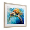 Stupell Industries Graceful Swimmer Tortoise Framed Print Under Glass Art - 2 of 4