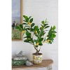 NicBex Artificial Plant 31.5" Tall Artificial Lemon Tree with Black Pot, Room Decor for Home Office Foyer Porch - 3 of 4